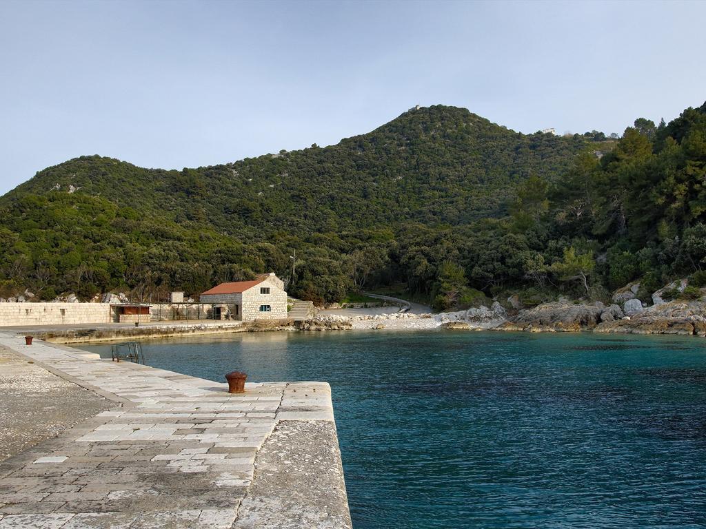 Apartment Cacini Dvori Lastovo Zimmer foto