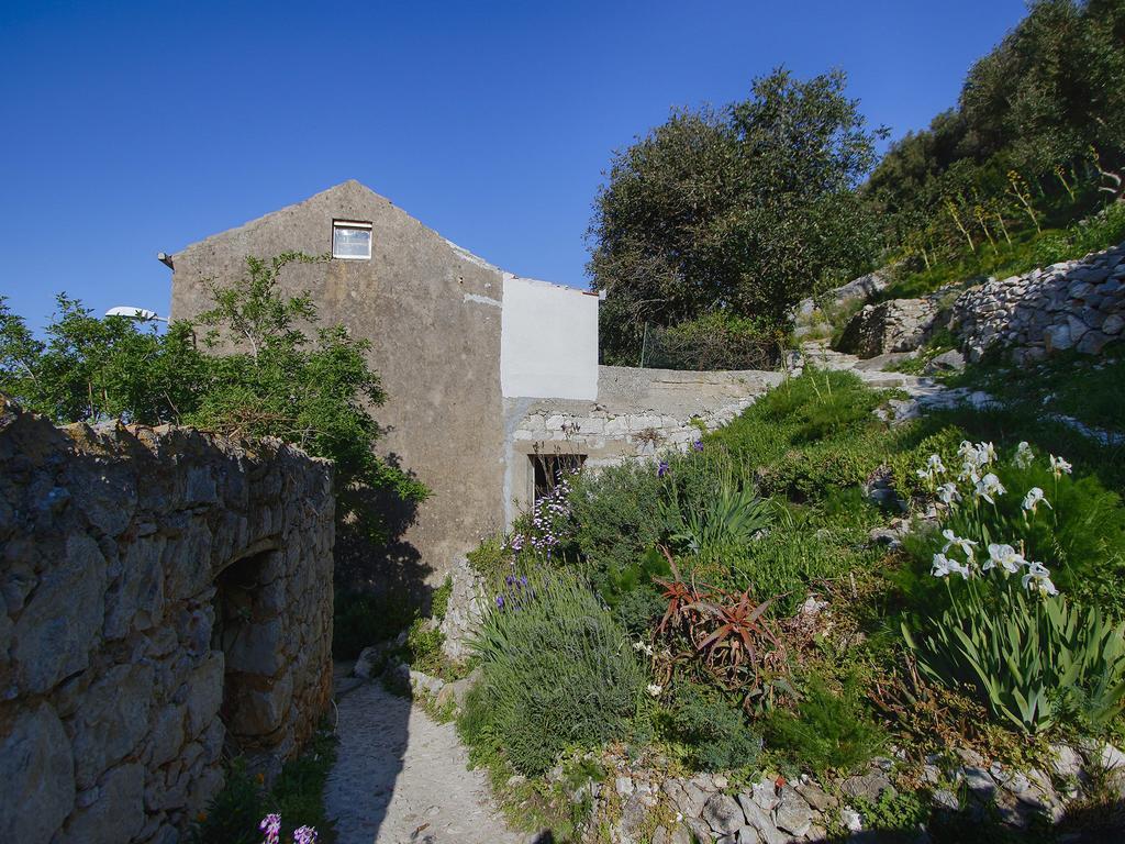Apartment Cacini Dvori Lastovo Zimmer foto